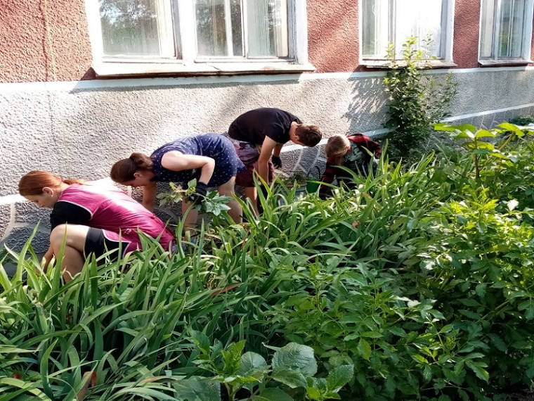 Работа на участке.